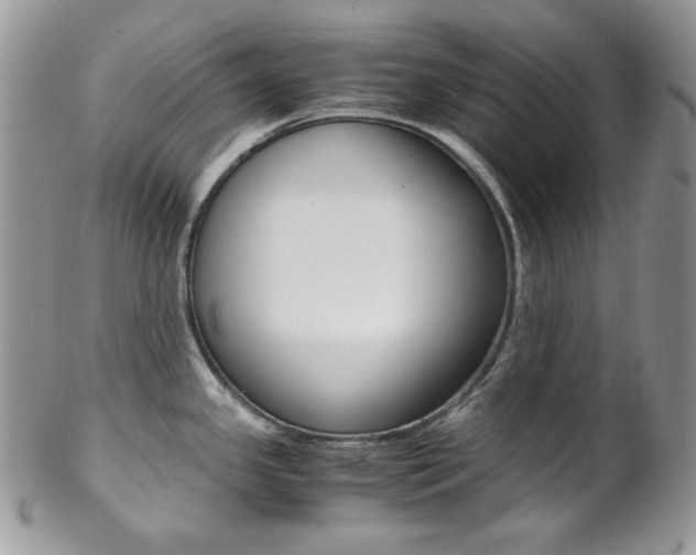 X0000102841341200808181016
