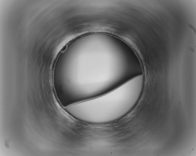 X0000102841342200808181016