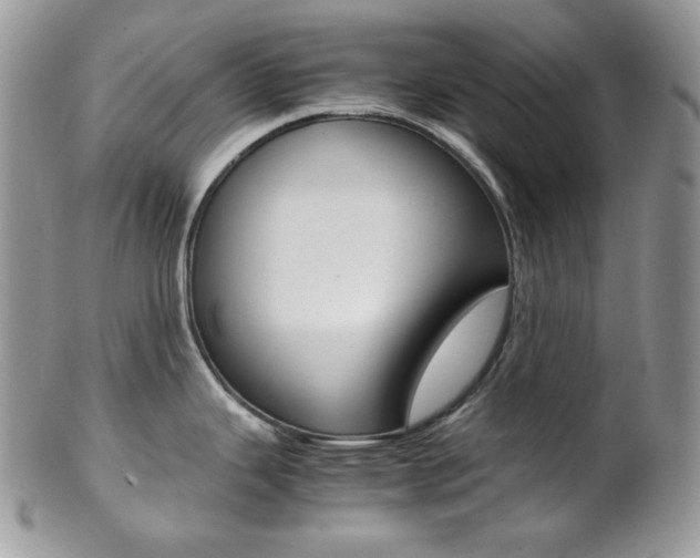 X0000102841343200808181016