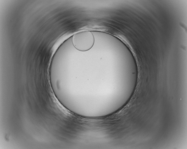 X0000102841344200808181016