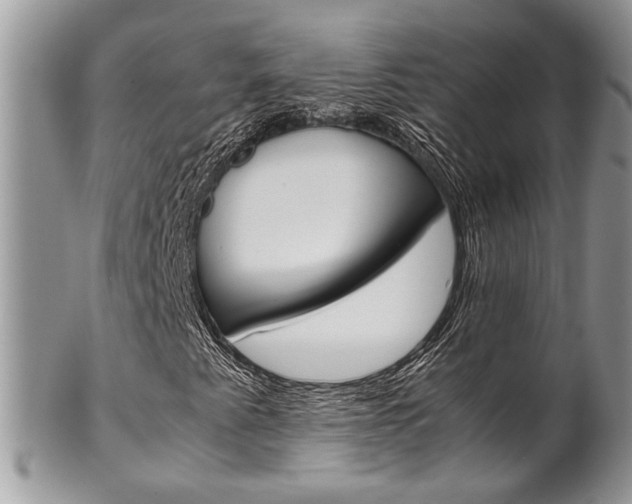 X0000102841345200808181016