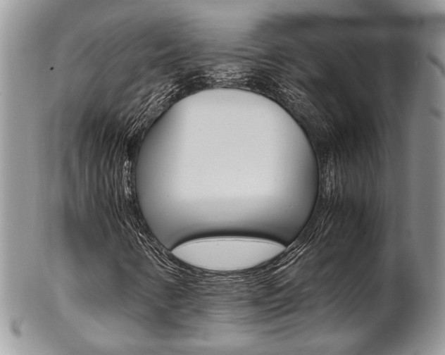 X0000102841346200808181015