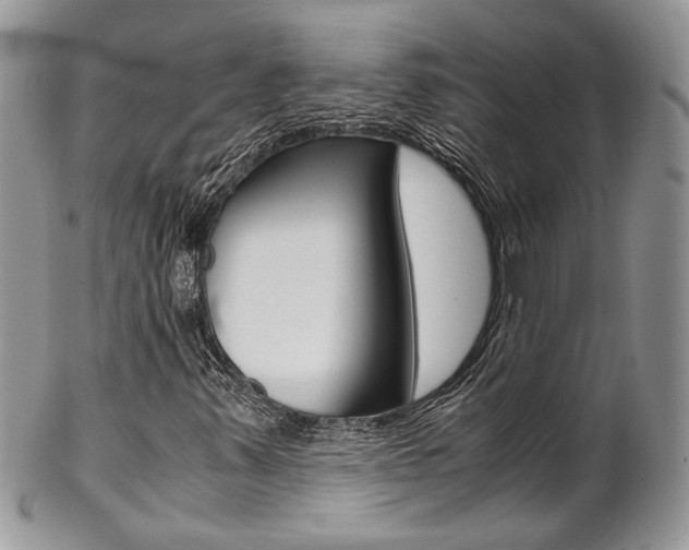 X0000102841347200808181015