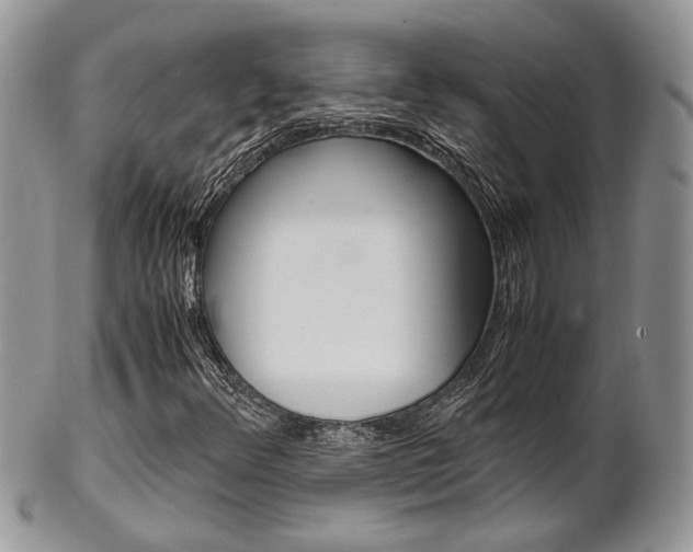 X0000102841348200808181015