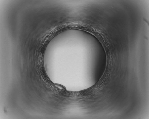 X0000102841349200808181015