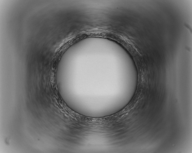 X0000102841350200808181015
