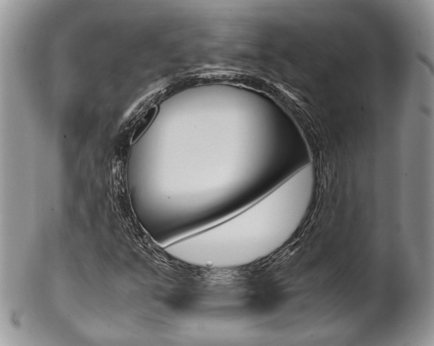 X0000102841351200808181015