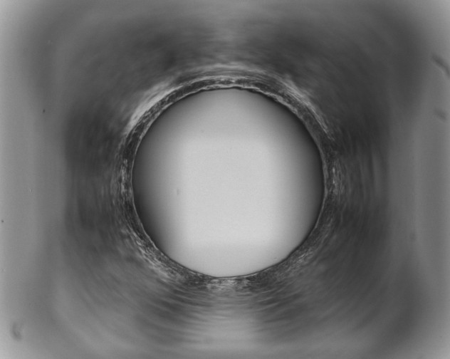 X0000102841352200808181015