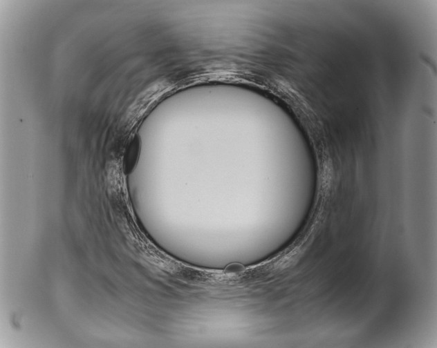 X0000102841353200808181015