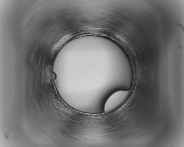 X0000102841354200808181015