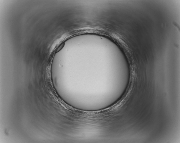 X0000102841357200808181015