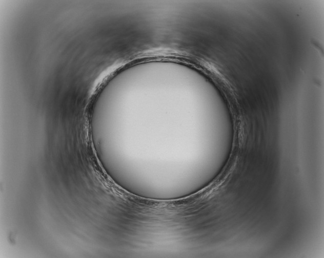 X0000102841358200808181015
