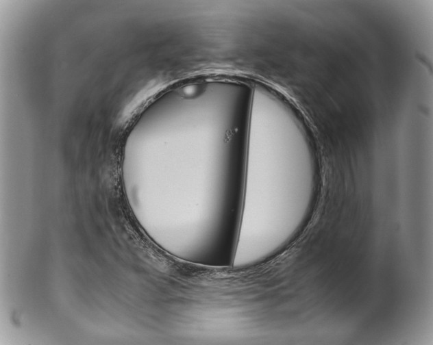 X0000102841359200808181015