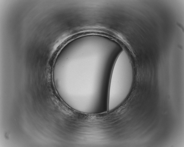 X0000102841360200808181015