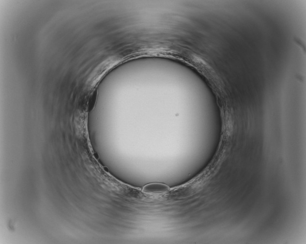 X0000102841361200808181015