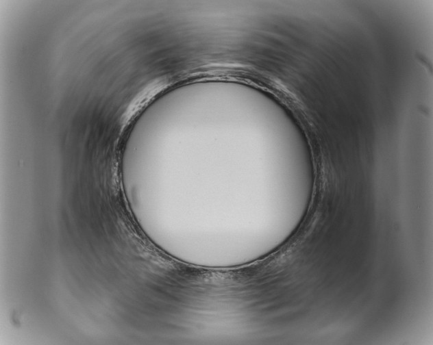 X0000102841362200808181015