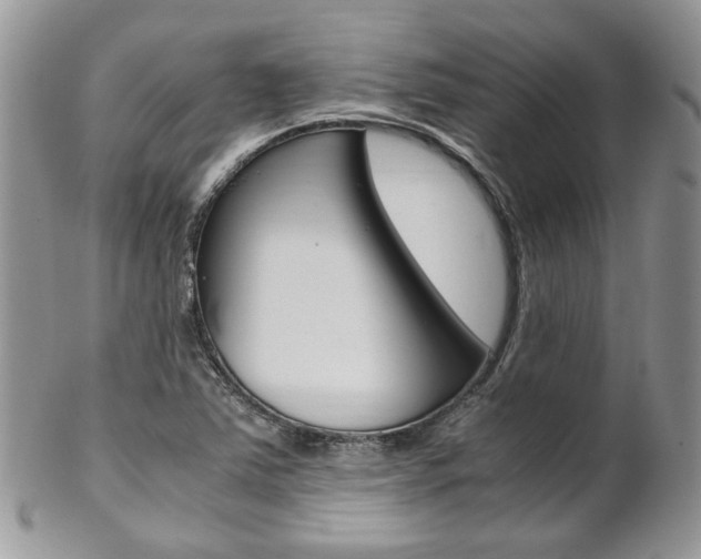 X0000102841363200808181015