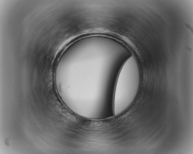 X0000102841364200808181015