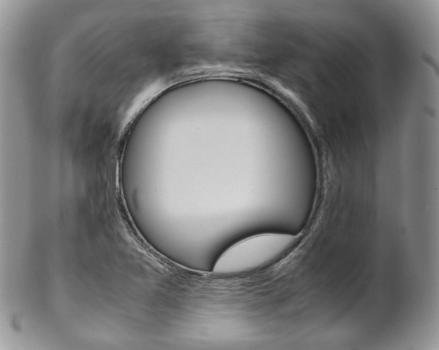 X0000102841365200808181015