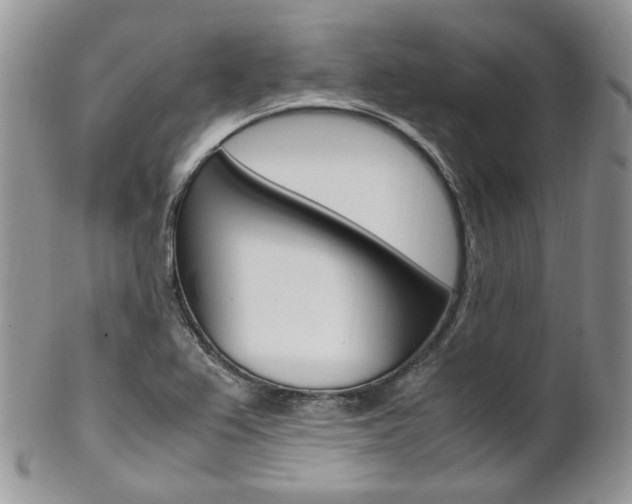 X0000102841367200808181015
