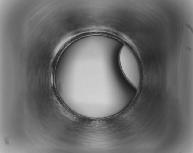 X0000102841368200808181015