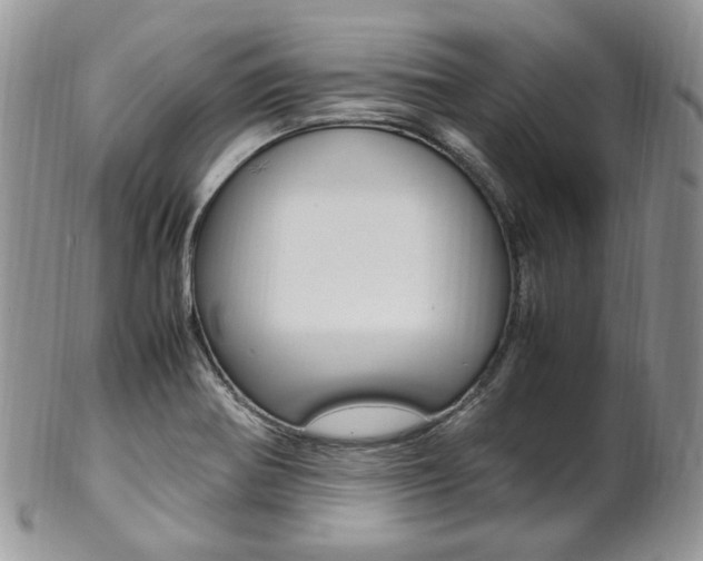 X0000102841370200808181015