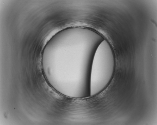 X0000102841374200808181015