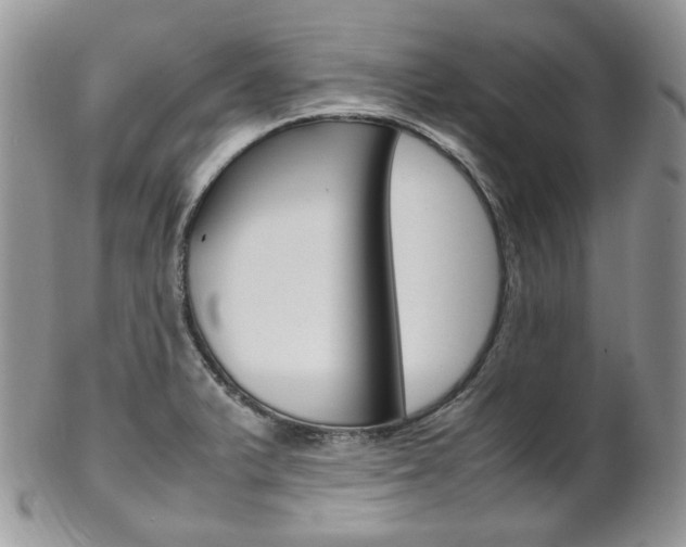 X0000102841375200808181015