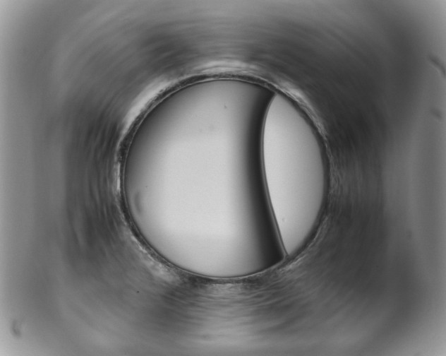 X0000102841376200808181015