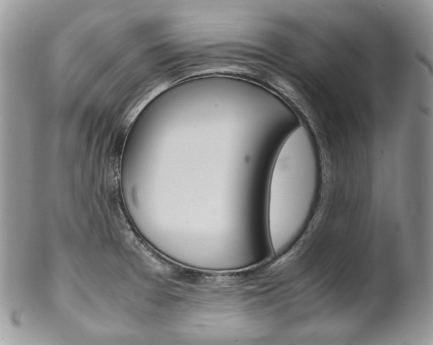 X0000102841377200808181015