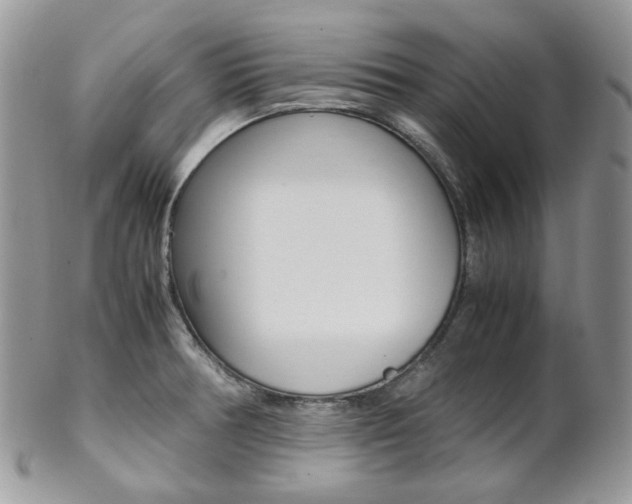 X0000102841378200808181015