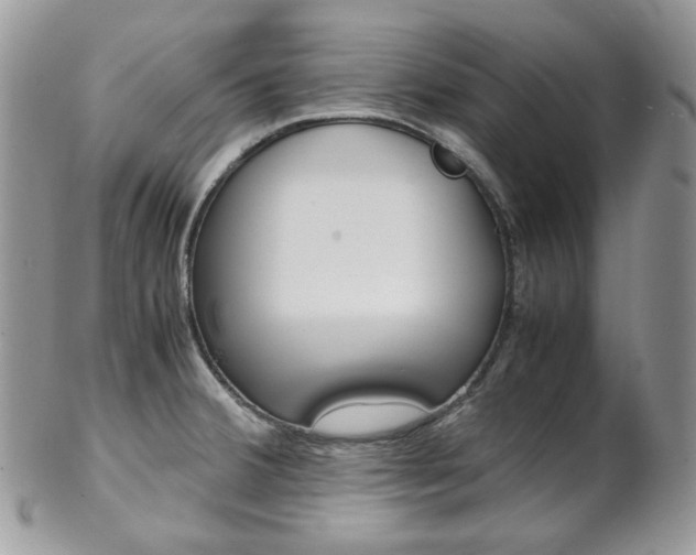 X0000102841380200808181015