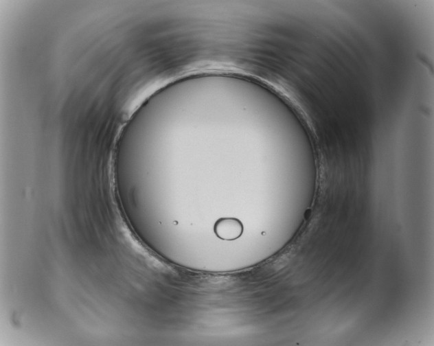 X0000102841382200808181015