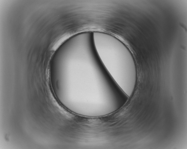 X0000102841383200808181015