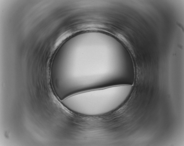 X0000102841384200808181015