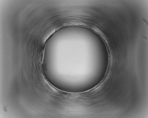 X0000102841385200808181015