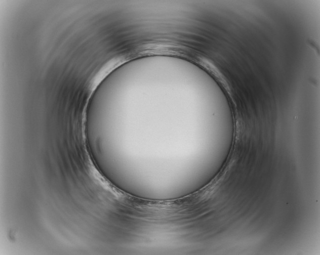 X0000102841386200808181015