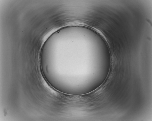 X0000102841387200808181015