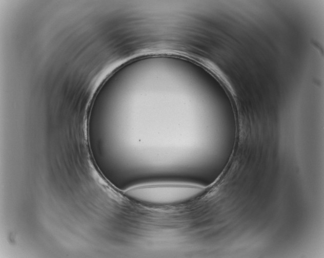X0000102841388200808181015