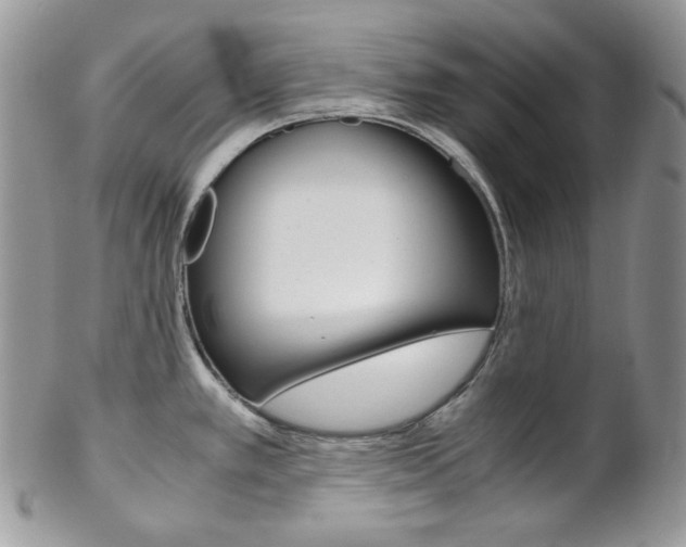 X0000102841389200808181015