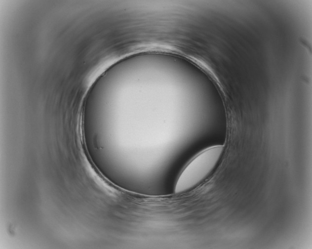 X0000102841391200808181015