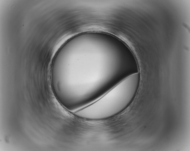 X0000102841392200808181015
