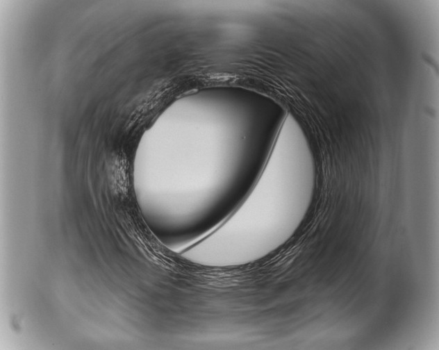 X0000102841394200808181014
