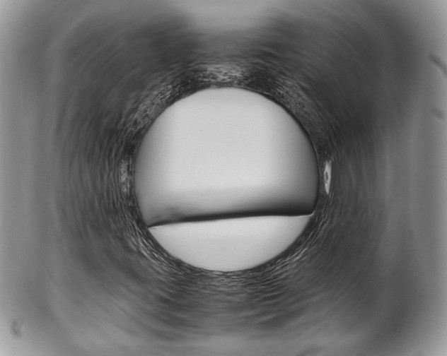 X0000102841395200808181014