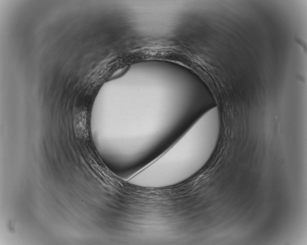 X0000102841396200808181014
