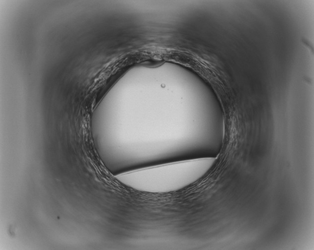 X0000102841397200808181014