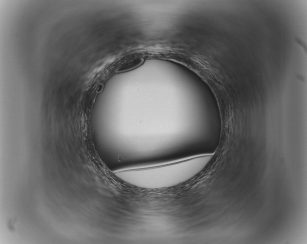 X0000102841398200808181014