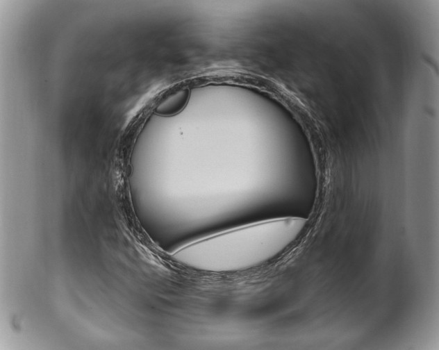 X0000102841400200808181014