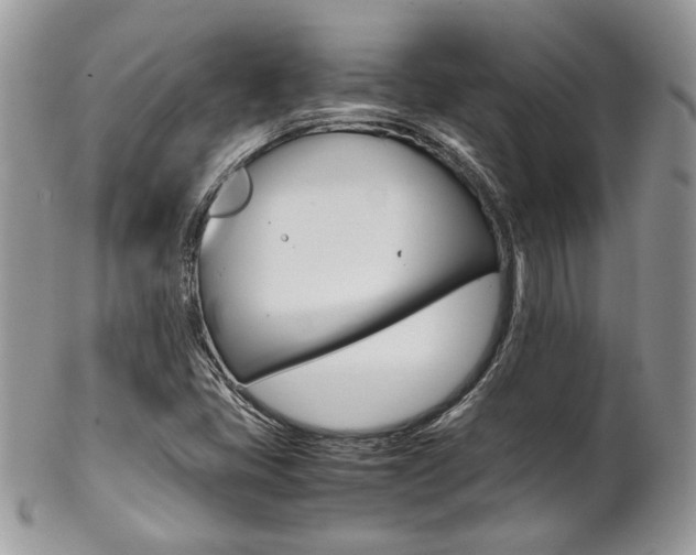 X0000102841405200808181014