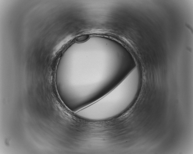 X0000102841406200808181014